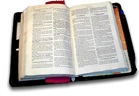 Die Bibel. Mehr als nur ein Buch.